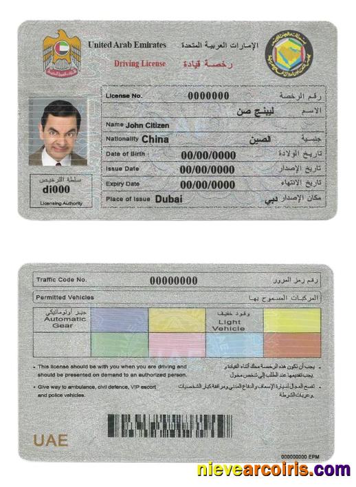 UAE (United Arab Emirates) driving license